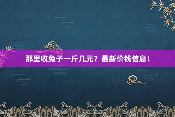 那里收兔子一斤几元？最新价钱信息！