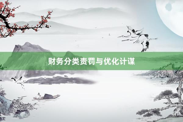 财务分类责罚与优化计谋